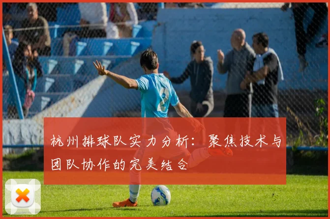 杭州排球队实力分析：聚焦技术与团队协作的完美结合